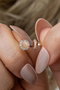 Heliophilia Silver Pendientes de Plata de Ley 925 con Oro Rosa y Circón